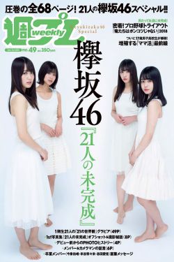 熊出没 影音